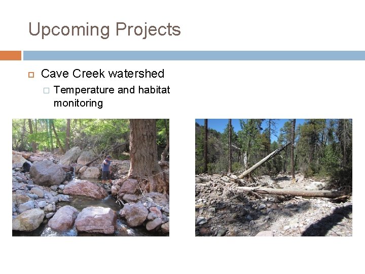 Upcoming Projects Cave Creek watershed � Temperature and habitat monitoring 