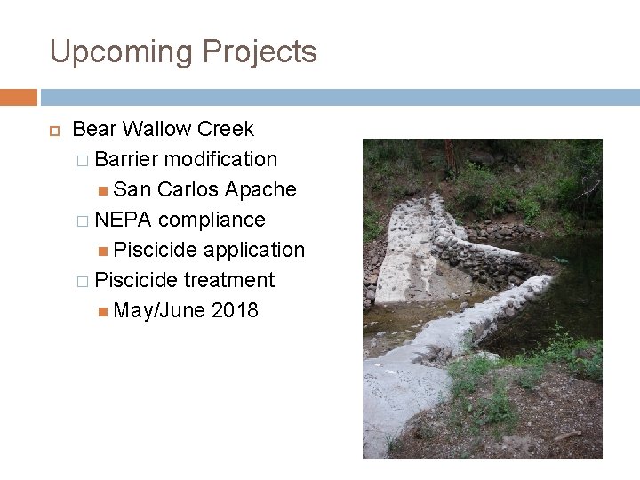 Upcoming Projects Bear Wallow Creek � Barrier modification San Carlos Apache � NEPA compliance