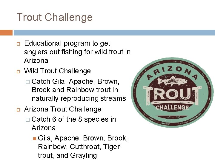 Trout Challenge Educational program to get anglers out fishing for wild trout in Arizona