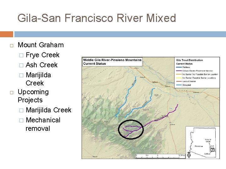 Gila-San Francisco River Mixed Mount Graham � Frye Creek � Ash Creek � Marijilda