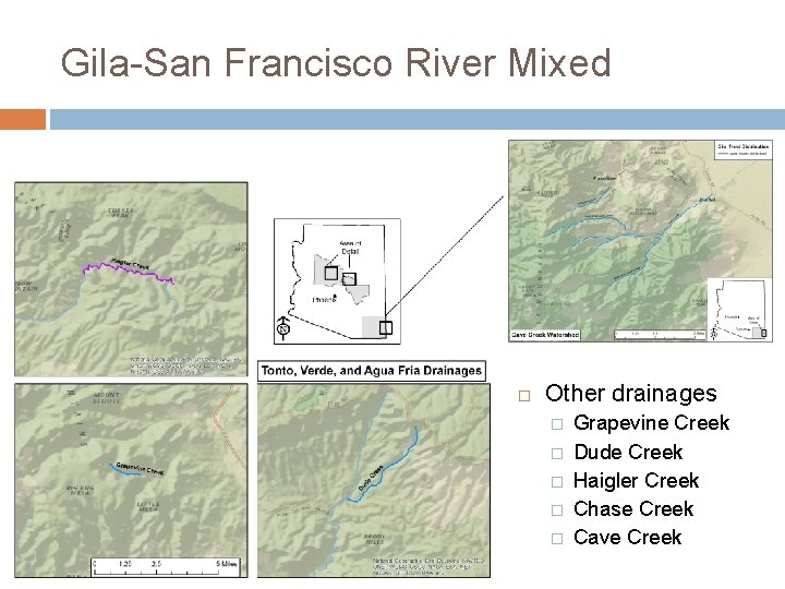 Gila-San Francisco River Mixed Other drainages � � � Grapevine Creek Dude Creek Haigler