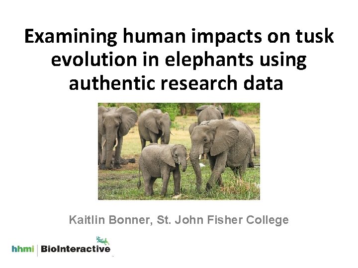 Examining human impacts on tusk evolution in elephants using authentic research data Kaitlin Bonner,