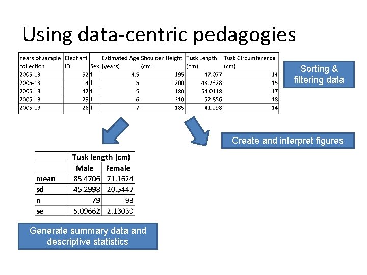 Using data-centric pedagogies Sorting & filtering data Create and interpret figures Generate summary data