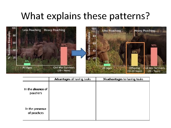 What explains these patterns? 