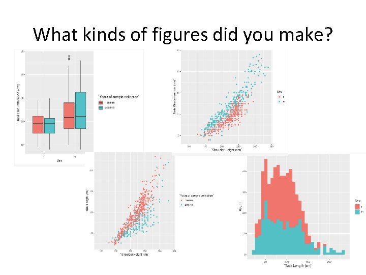 What kinds of figures did you make? 