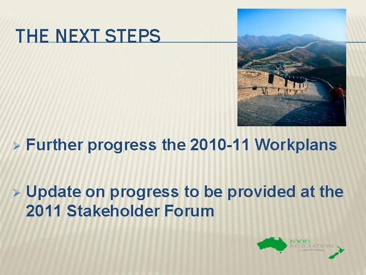 THE NEXT STEPS Ø Further progress the 2010 -11 Workplans Ø Update on progress