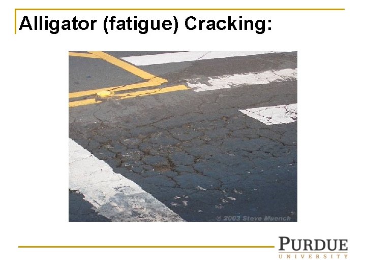 Alligator (fatigue) Cracking: Alligator (fatigue) Cracking: