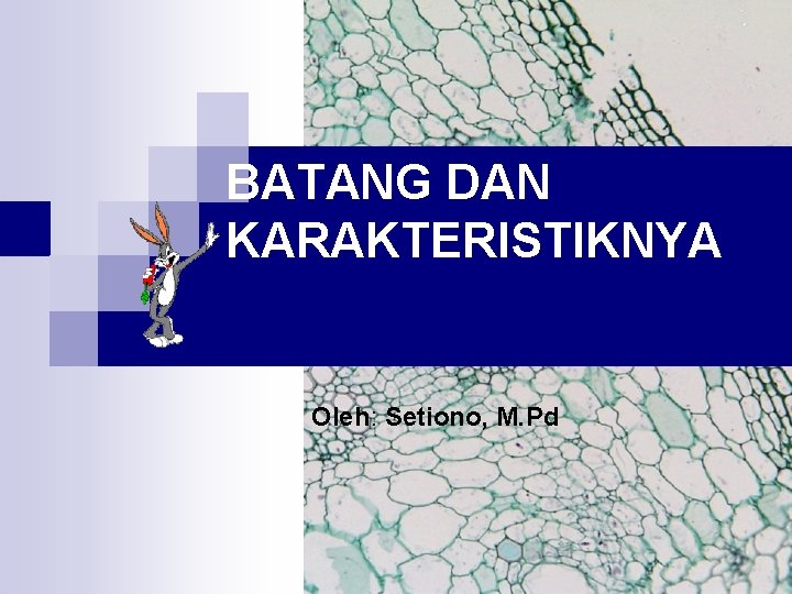 BATANG DAN KARAKTERISTIKNYA Oleh: Setiono, M. Pd 