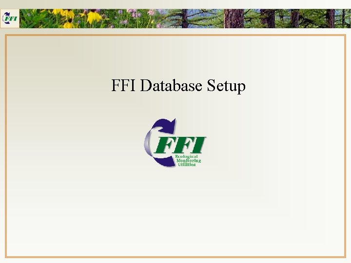 FFI Database Setup 