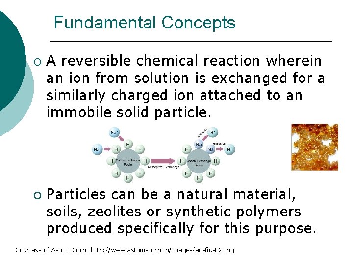 Fundamental Concepts ¡ ¡ A reversible chemical reaction wherein an ion from solution is Fundamental Concepts ¡ ¡ A reversible chemical reaction wherein an ion from solution is