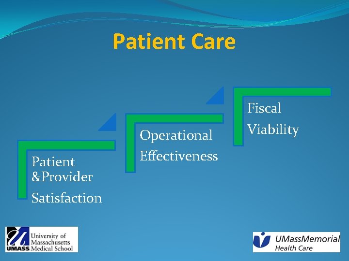 Patient Care Patient &Provider Satisfaction Operational Effectiveness Fiscal Viability 