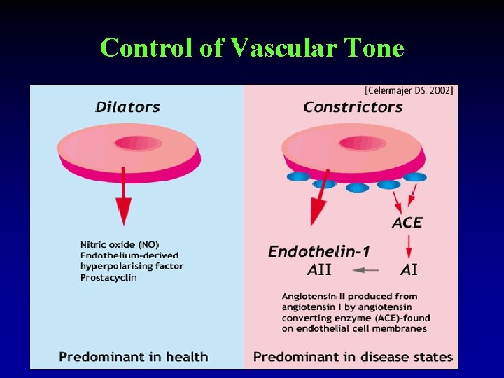 Control of Vascular Tone 