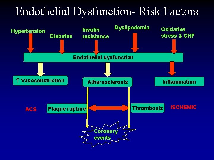 Endothelial Dysfunction- Risk Factors Hypertension Diabetes Insulin resistance Dyslipedemia Oxidative stress & CHF Endothelial