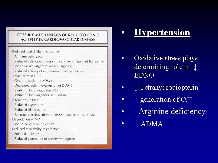  • Hypertension • Oxidative stress plays determining role in ↓ EDNO • ↓