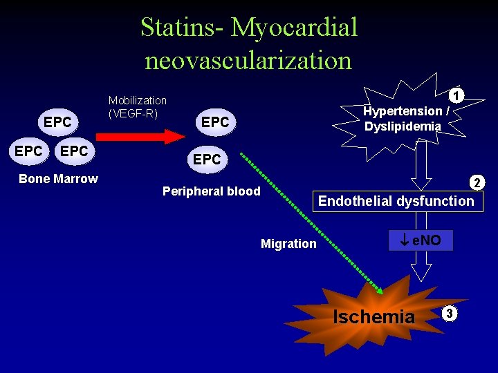 Statins- Myocardial neovascularization EPC EPC Bone Marrow Mobilization (VEGF-R) 1 Hypertension / Dyslipidemia EPC