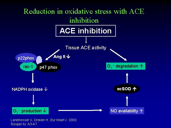 Reduction in oxidative stress with ACE inhibition Tissue ACE activity Ang II p 22