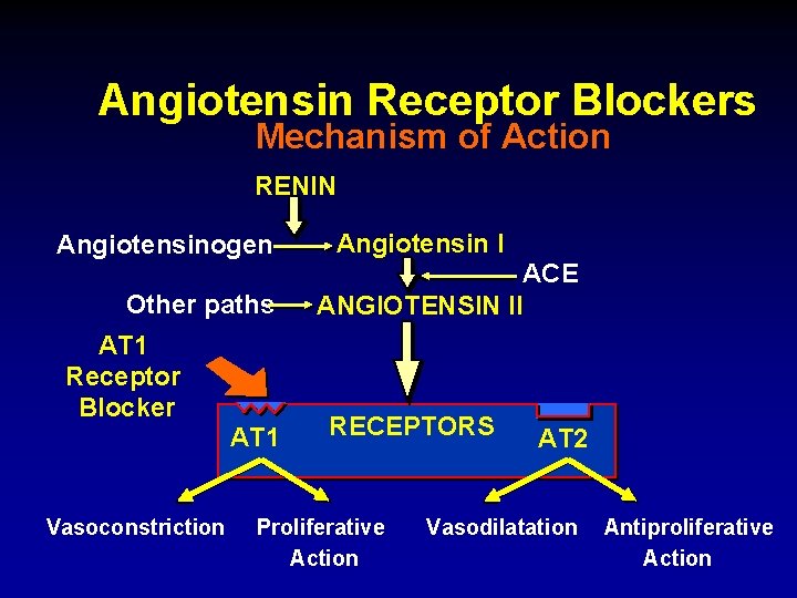 Angiotensin Receptor Blockers Mechanism of Action RENIN Angiotensinogen Other paths AT 1 Receptor Blocker