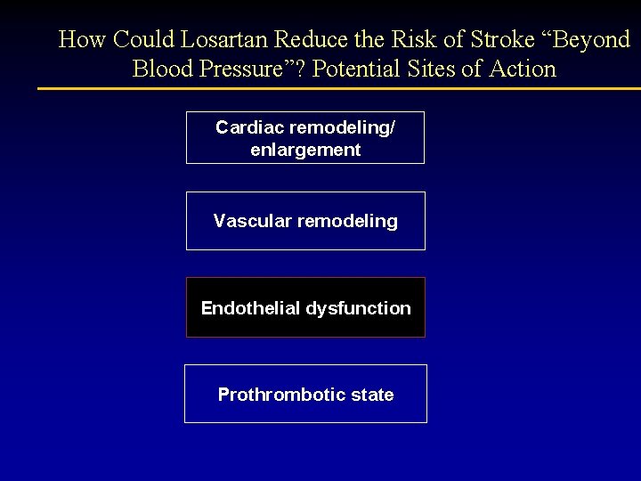 How Could Losartan Reduce the Risk of Stroke “Beyond Blood Pressure”? Potential Sites of