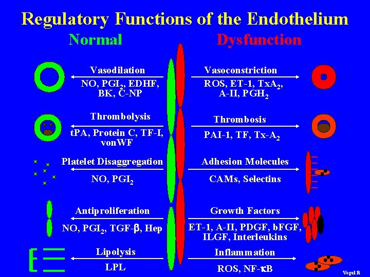 Regulatory Functions of the Endothelium Normal Dysfunction Vasodilation NO, PGI 2, EDHF, BK, C-NP