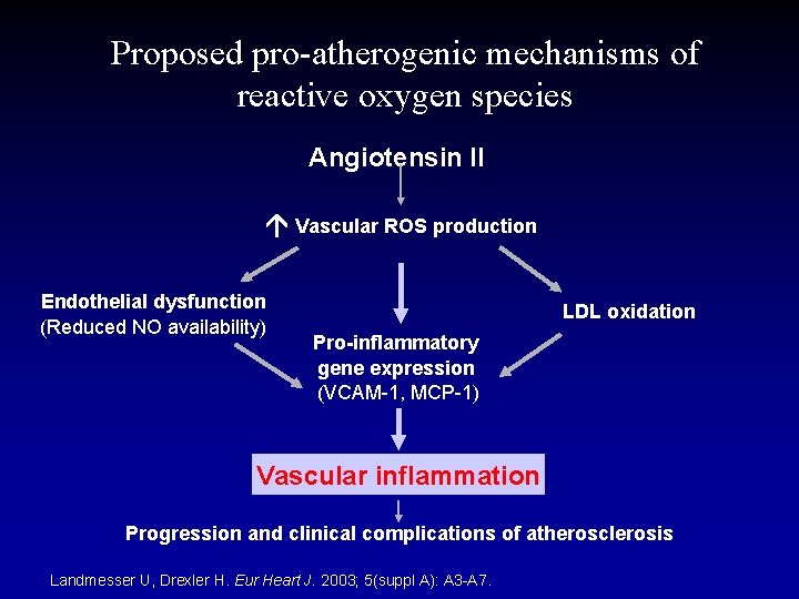 Proposed pro-atherogenic mechanisms of reactive oxygen species Angiotensin II Vascular ROS production Endothelial dysfunction