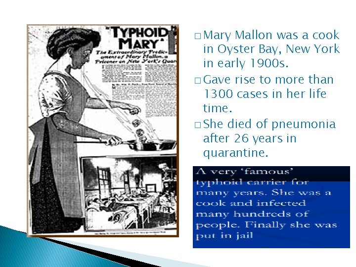 � Mary Mallon was a cook in Oyster Bay, New York in early 1900