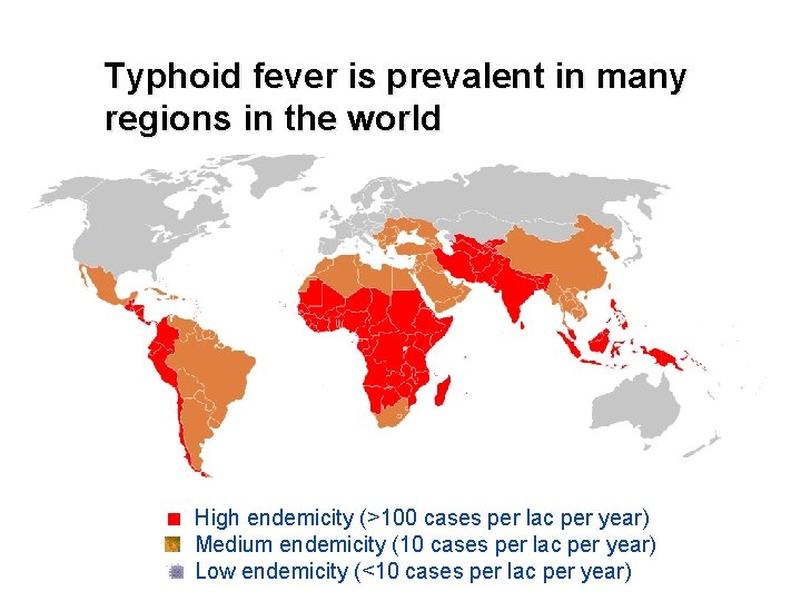 Typhoid fever is prevalent in many regions in the world High endemicity (>100 cases
