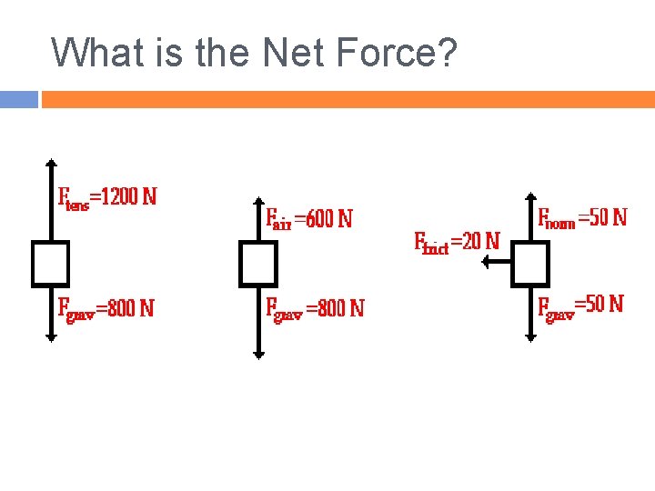 What is the Net Force? 