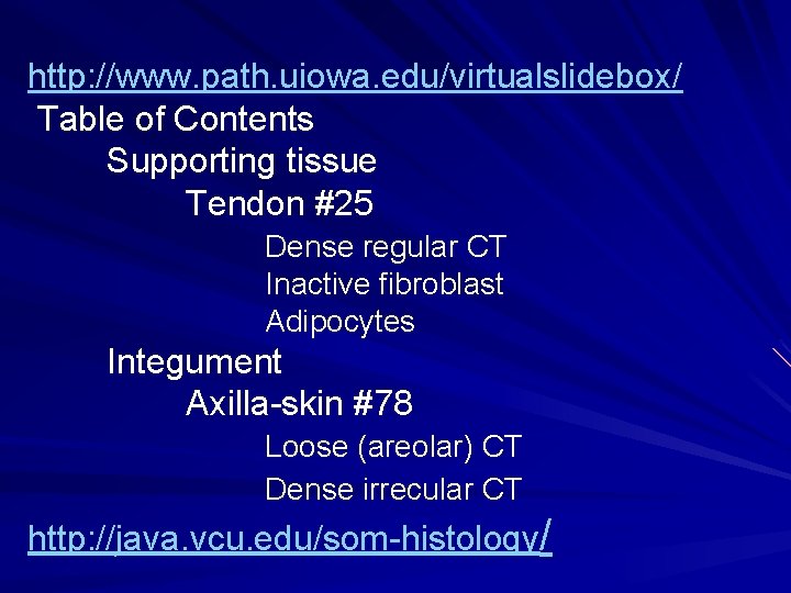 http: //www. path. uiowa. edu/virtualslidebox/ Table of Contents Supporting tissue Tendon #25 Dense regular http: //www. path. uiowa. edu/virtualslidebox/ Table of Contents Supporting tissue Tendon #25 Dense regular