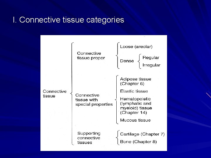 I. Connective tissue categories I. Connective tissue categories