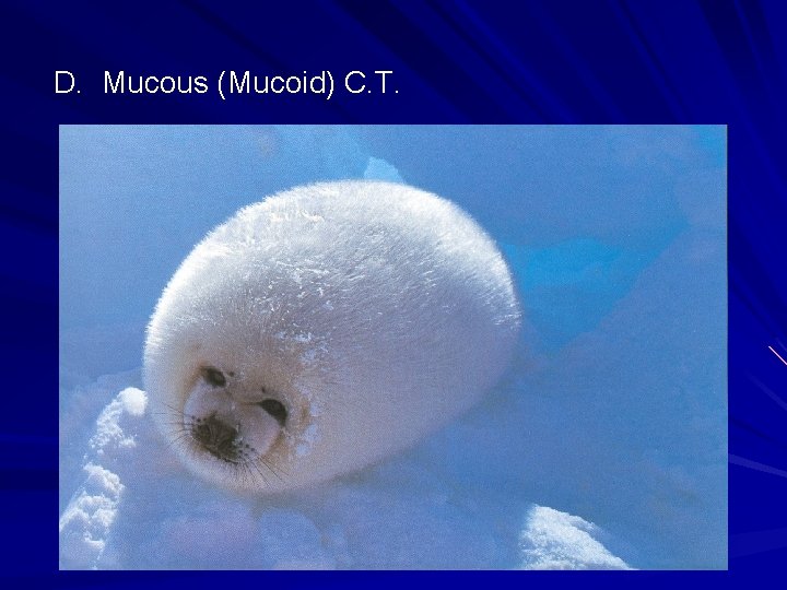 D. Mucous (Mucoid) C. T. D. Mucous (Mucoid) C. T.