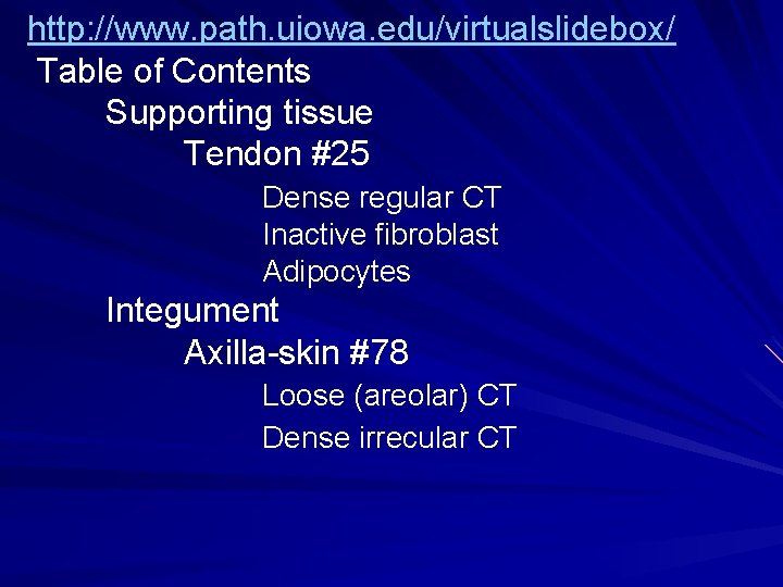 http: //www. path. uiowa. edu/virtualslidebox/ Table of Contents Supporting tissue Tendon #25 Dense regular http: //www. path. uiowa. edu/virtualslidebox/ Table of Contents Supporting tissue Tendon #25 Dense regular