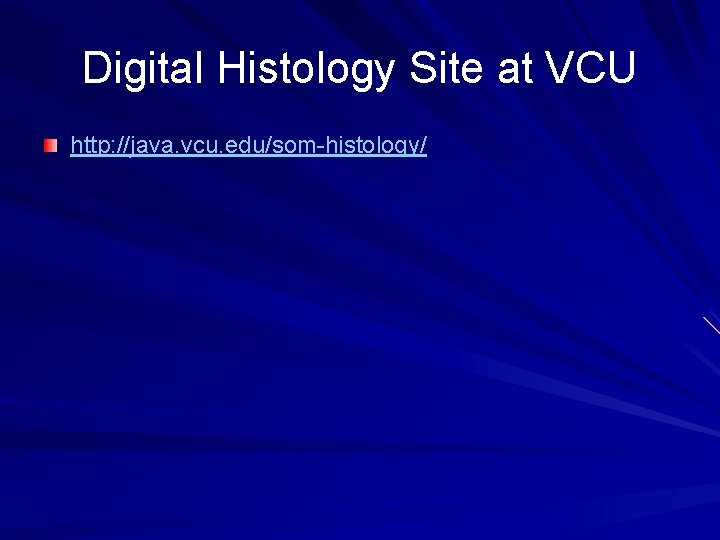 Digital Histology Site at VCU http: //java. vcu. edu/som-histology/ Digital Histology Site at VCU http: //java. vcu. edu/som-histology/