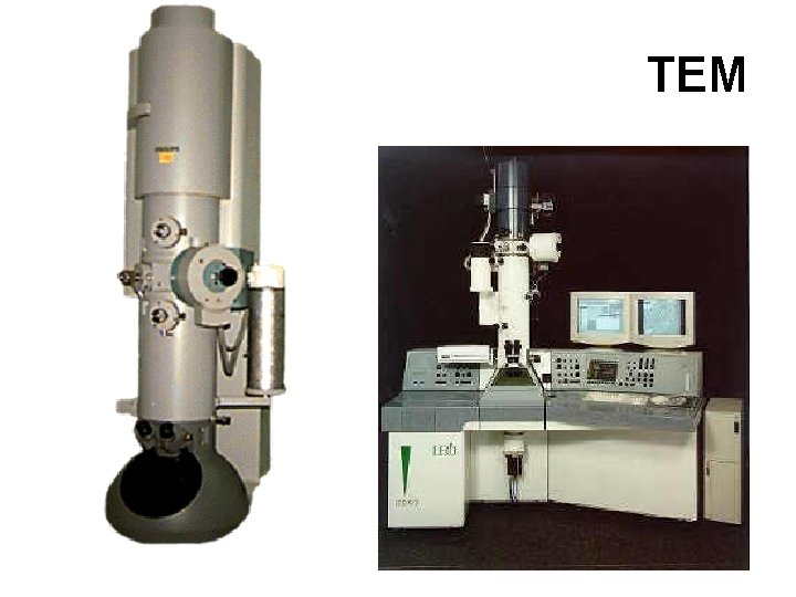 TEM 