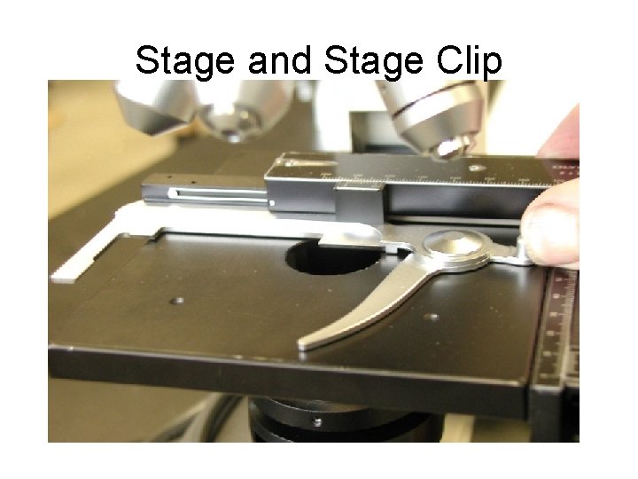 Stage and Stage Clip 