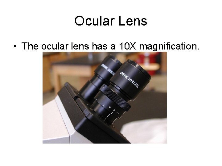 Ocular Lens • The ocular lens has a 10 X magnification. 