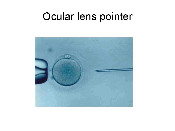 Ocular lens pointer 