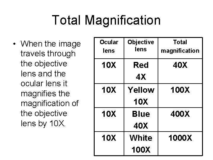 Total Magnification • When the image travels through the objective lens and the ocular