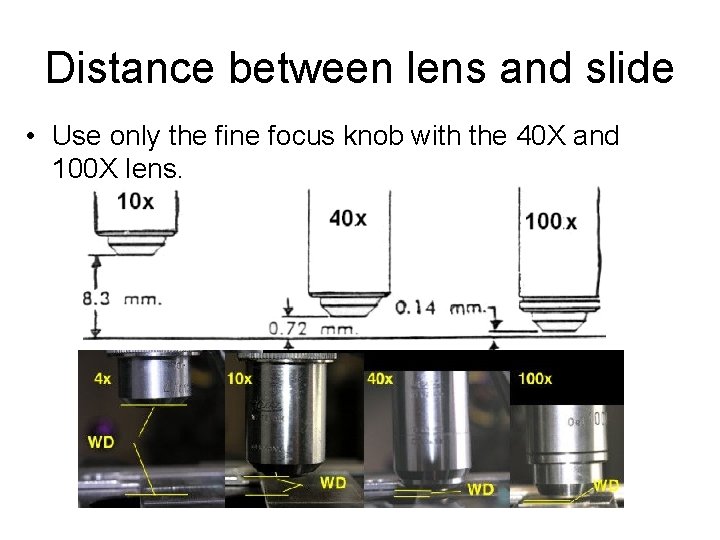 Distance between lens and slide • Use only the fine focus knob with the