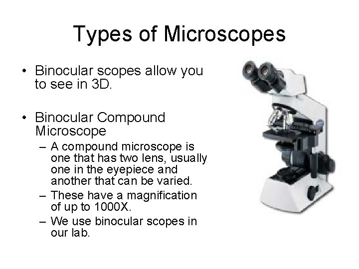Types of Microscopes • Binocular scopes allow you to see in 3 D. •