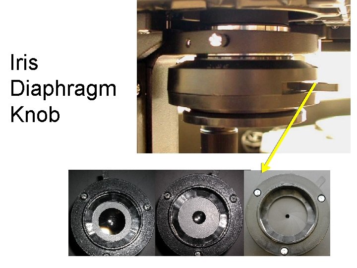 Iris Diaphragm Knob 