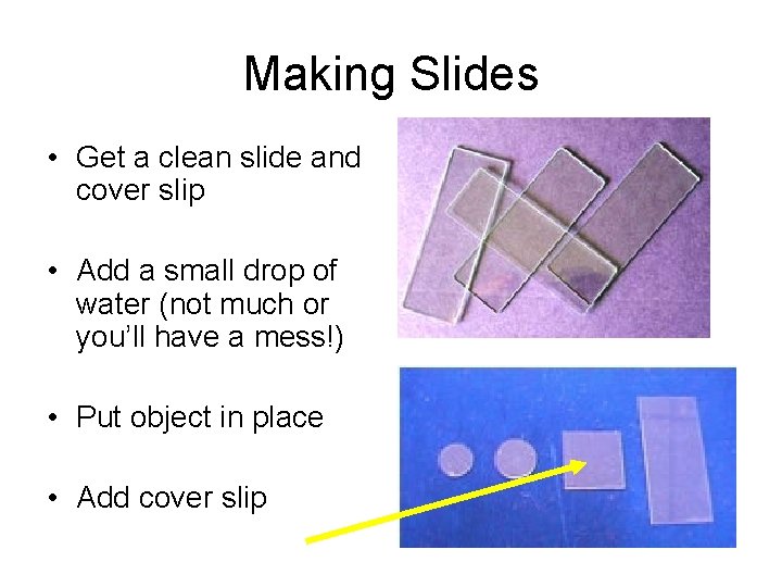 Making Slides • Get a clean slide and cover slip • Add a small