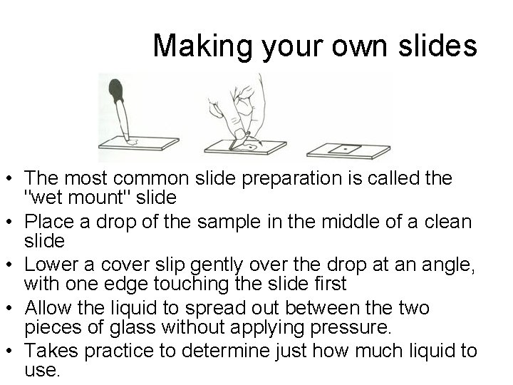 Making your own slides • The most common slide preparation is called the "wet