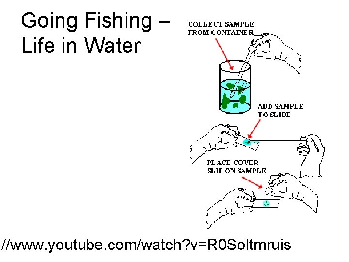 Going Fishing – Life in Water : //www. youtube. com/watch? v=R 0 Soltmruis 