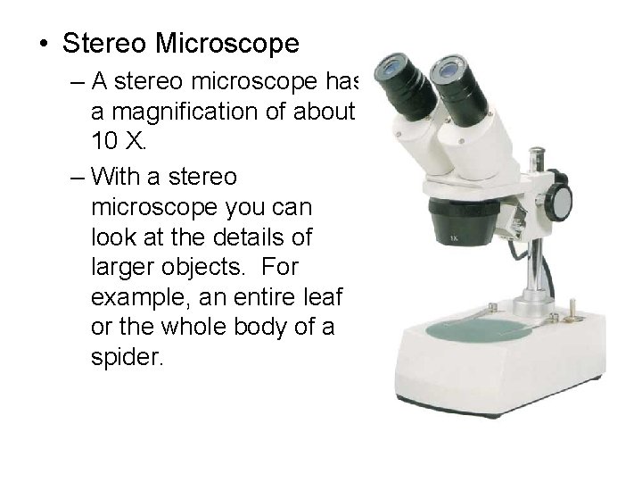  • Stereo Microscope – A stereo microscope has a magnification of about 10