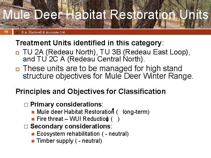Mule Deer Habitat Restoration Units 19 B. A. Blackwell & Associates Ltd. Treatment Units