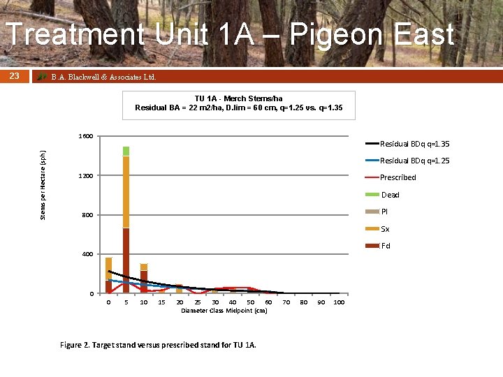 Treatment Unit 1 A – Pigeon East 23 B. A. Blackwell & Associates Ltd.
