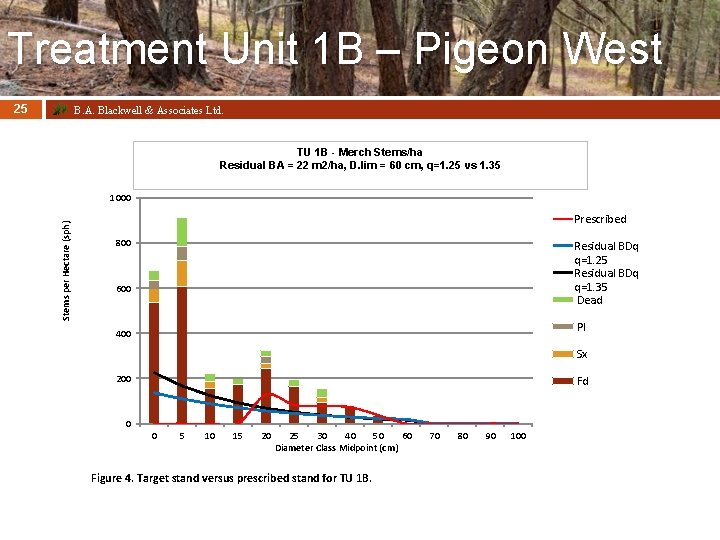 Treatment Unit 1 B – Pigeon West 25 B. A. Blackwell & Associates Ltd.