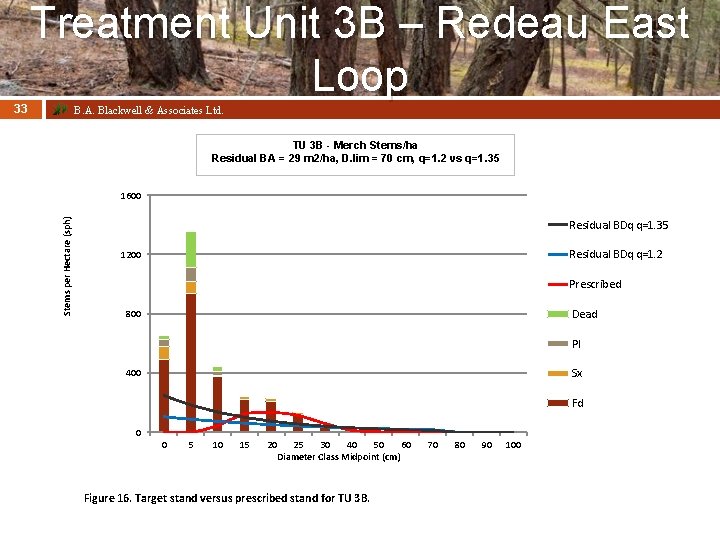 Treatment Unit 3 B – Redeau East Loop 33 B. A. Blackwell & Associates