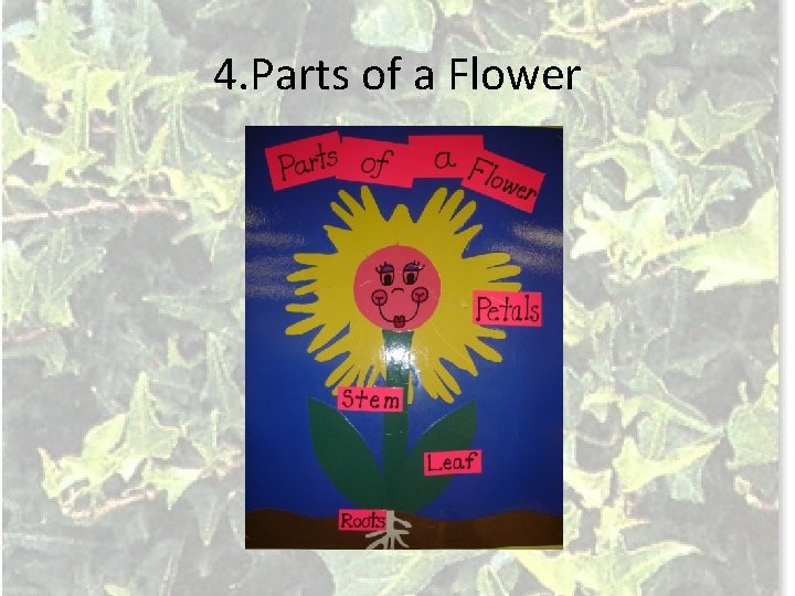 4. Parts of a Flower 