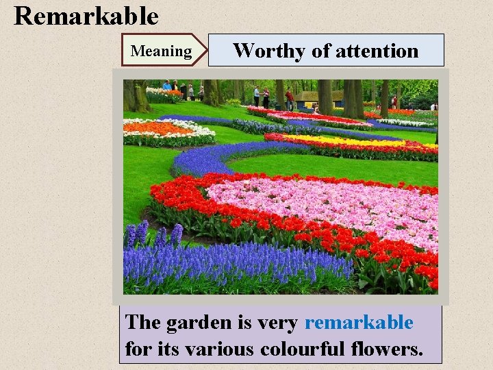 Remarkable Meaning Worthy of attention The garden is very remarkable for its various colourful